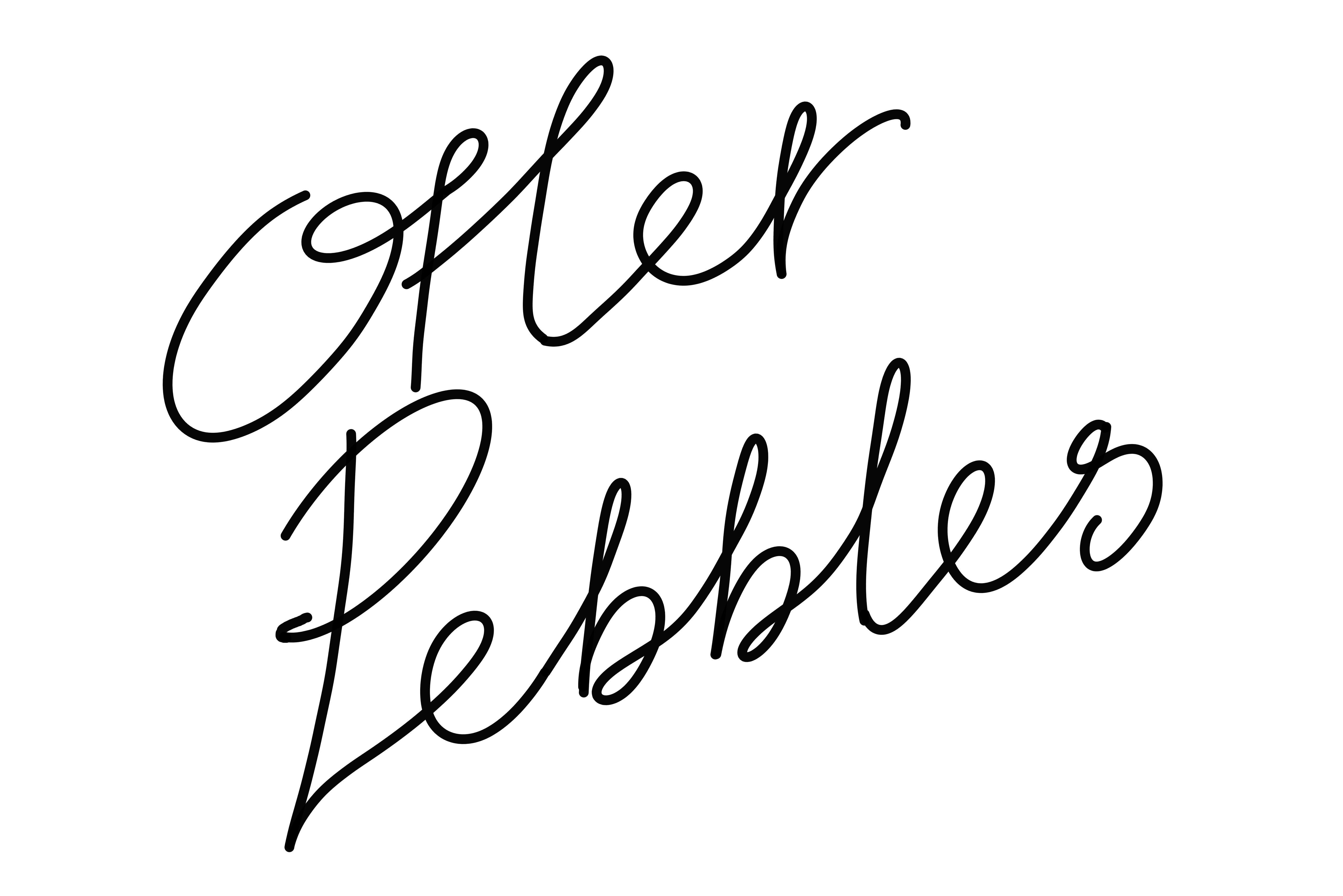 Otter & Pebbles